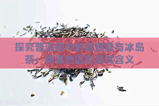 探究普洱茶中的老班章与冰岛茶：两者的区别及其含义