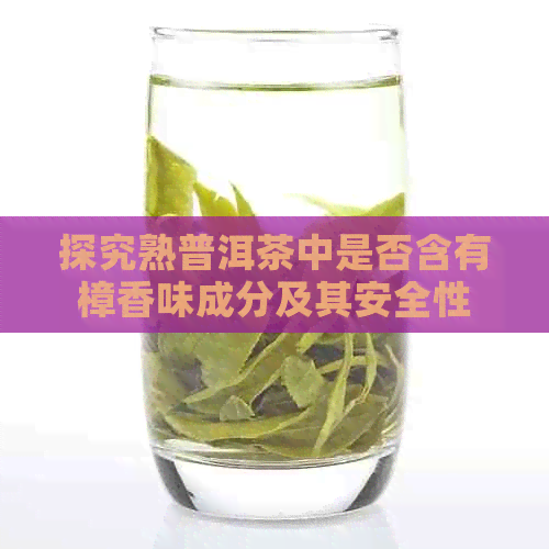 探究熟普洱茶中是否含有樟香味成分及其安全性