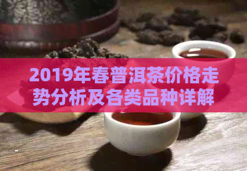 2019年春普洱茶价格走势分析及各类品种详解，助您轻松挑选最适合的茶叶