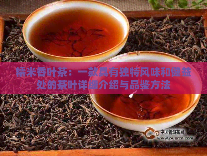 糯米香叶茶：一款具有独特风味和健益处的茶叶详细介绍与品鉴方法