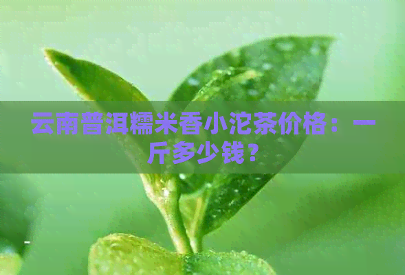 云南普洱糯米香小沱茶价格：一斤多少钱？