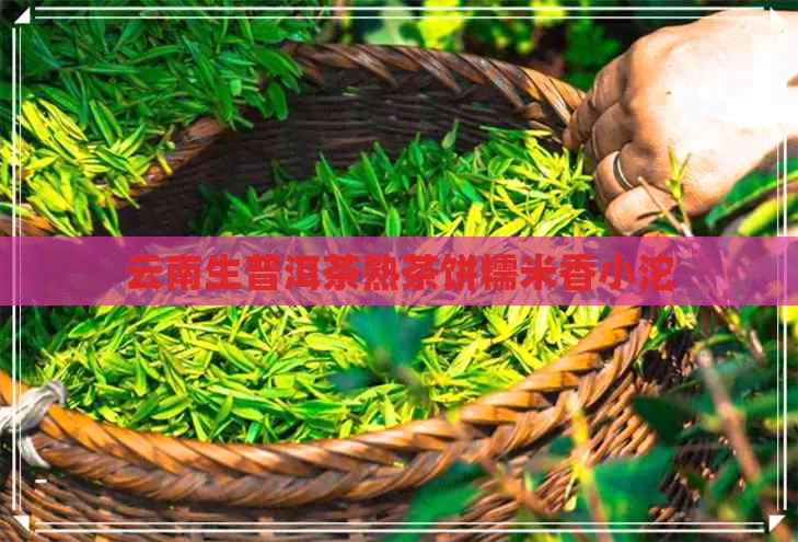 云南生普洱茶熟茶饼糯米香小沱