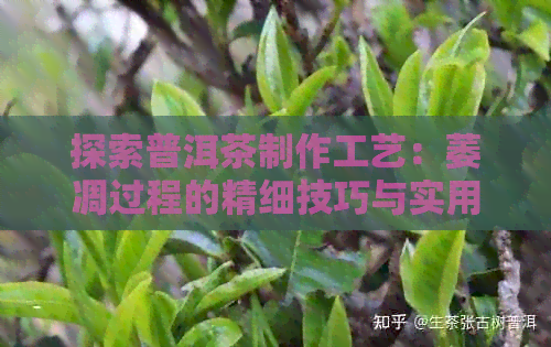 探索普洱茶制作工艺：萎凋过程的精细技巧与实用解析