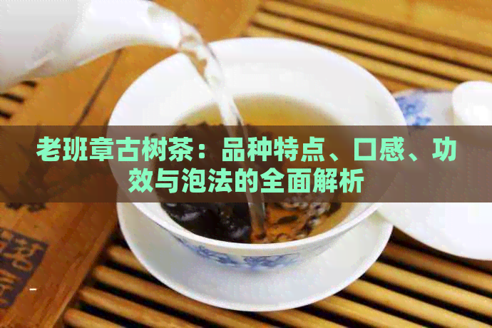 老班章古树茶：品种特点、口感、功效与泡法的全面解析