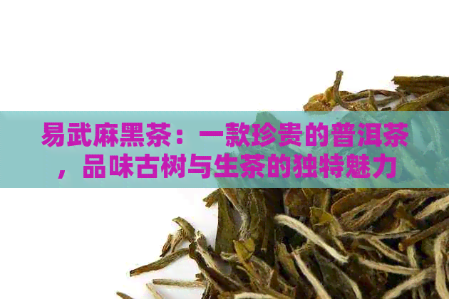 易武麻黑茶：一款珍贵的普洱茶，品味古树与生茶的独特魅力