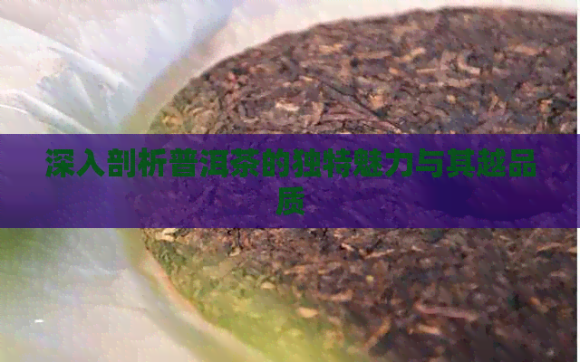 深入剖析普洱茶的独特魅力与其越品质