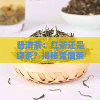 普洱茶：红茶还是绿茶？揭秘普洱茶的茶叶分类之谜