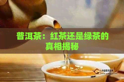 普洱茶：红茶还是绿茶的真相揭秘