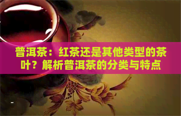 普洱茶：红茶还是其他类型的茶叶？解析普洱茶的分类与特点