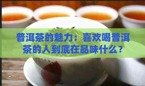 普洱茶的魅力：喜欢喝普洱茶的人到底在品味什么？