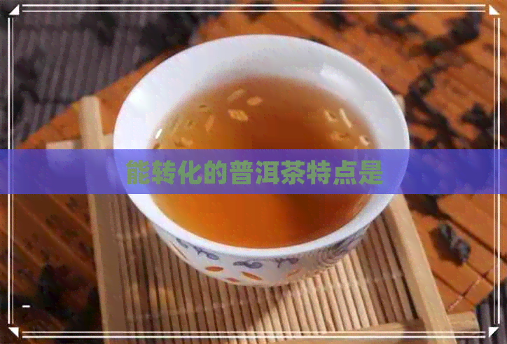 能转化的普洱茶特点是