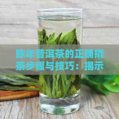 陈年普洱茶的正确撬茶步骤与技巧：揭示打开茶饼的新方法