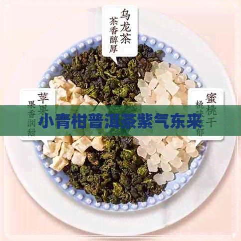 小青柑普洱茶紫气东来