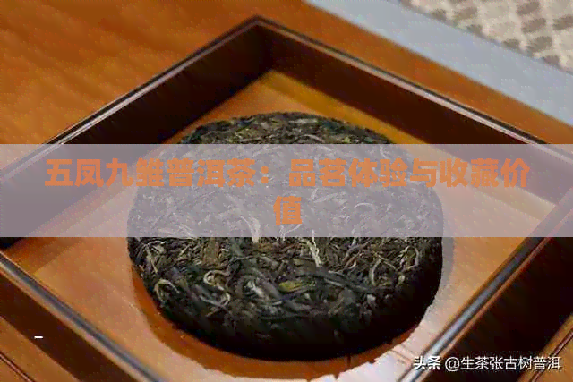 五凤九雏普洱茶：品茗体验与收藏价值