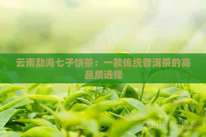 云南勐海七子饼茶：一款传统普洱茶的高品质选择