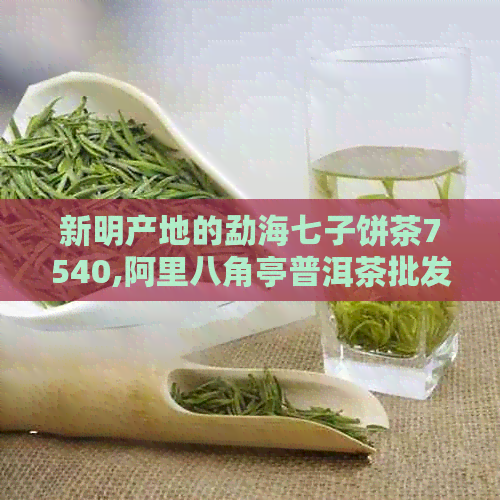 新明产地的勐海七子饼茶7540,阿里八角亭普洱茶批发价格促销