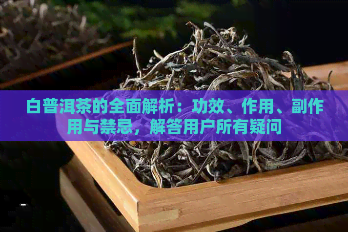 白普洱茶的全面解析：功效、作用、副作用与禁忌，解答用户所有疑问