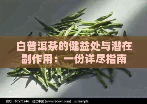 白普洱茶的健益处与潜在副作用：一份详尽指南