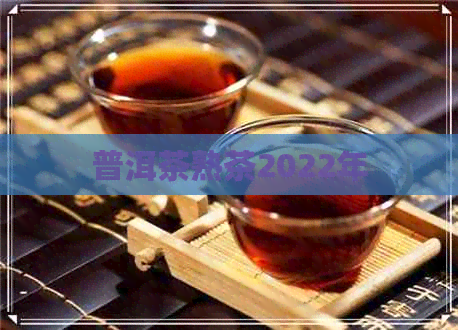 普洱茶熟茶2022年