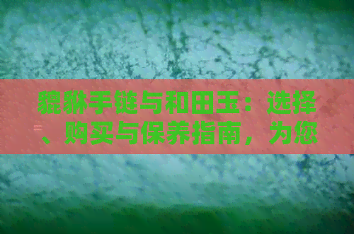 貔貅手链与和田玉：选择、购买与保养指南，为您的收藏保驾护航