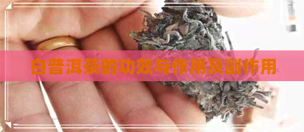 白普洱茶的功效与作用及副作用