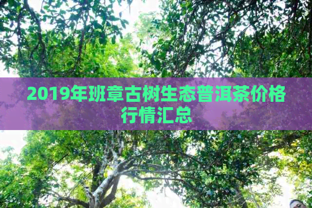 2019年班章古树生态普洱茶价格行情汇总