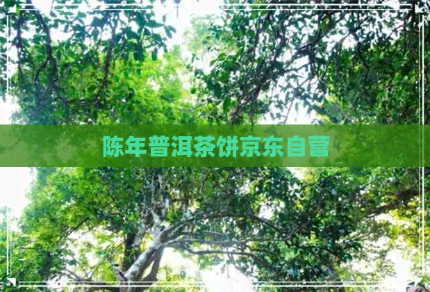 陈年普洱茶饼京东自营