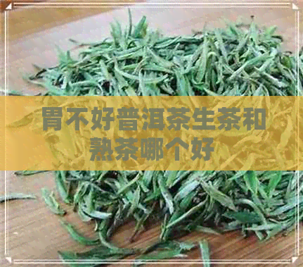 胃不好普洱茶生茶和熟茶哪个好