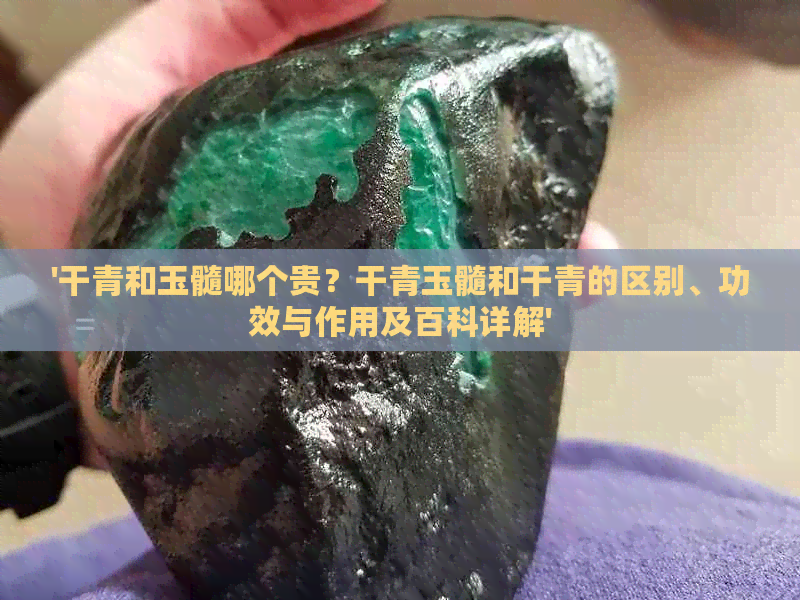 '干青和玉髓哪个贵？干青玉髓和干青的区别、功效与作用及百科详解'