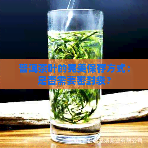 普洱茶叶的完美保存方式：是否需要密封袋？