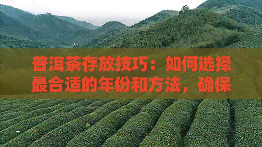 普洱茶存放技巧：如何选择最合适的年份和方法，确保品质与陈化效果