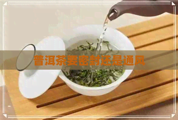 普洱茶要密封还是通风