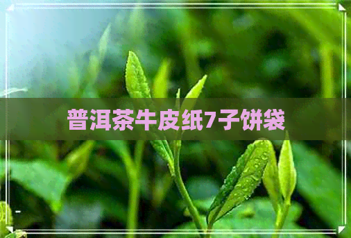 普洱茶牛皮纸7子饼袋