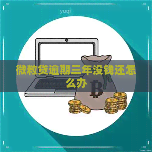 微粒贷逾期三年没钱还怎么办