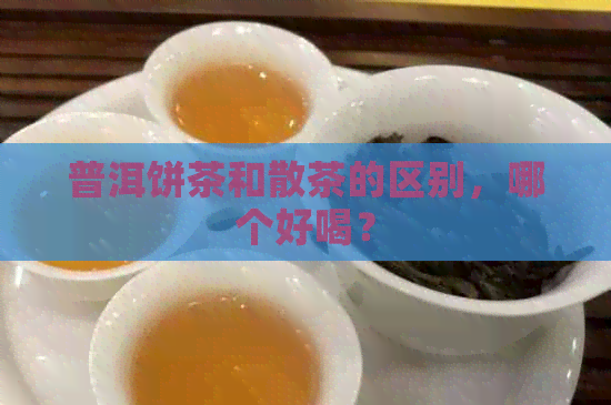 普洱饼茶和散茶的区别，哪个好喝？