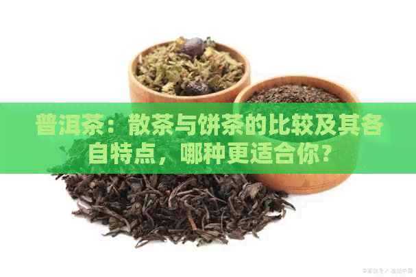 普洱茶：散茶与饼茶的比较及其各自特点，哪种更适合你？