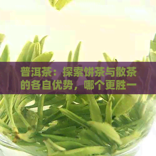 普洱茶：探索饼茶与散茶的各自优势，哪个更胜一筹？