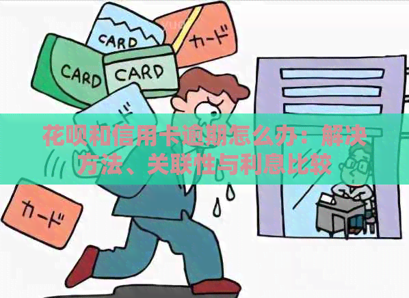 花呗和信用卡逾期怎么办：解决方法、关联性与利息比较