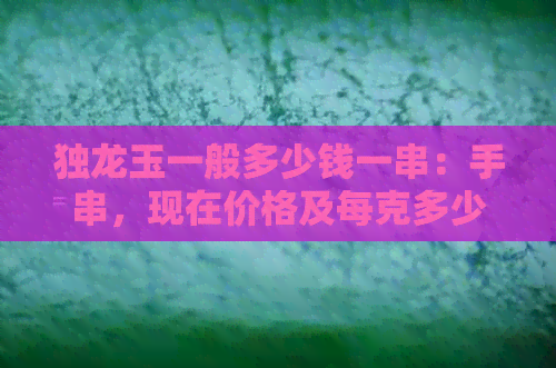 独龙玉一般多少钱一串：手串，现在价格及每克多少钱？