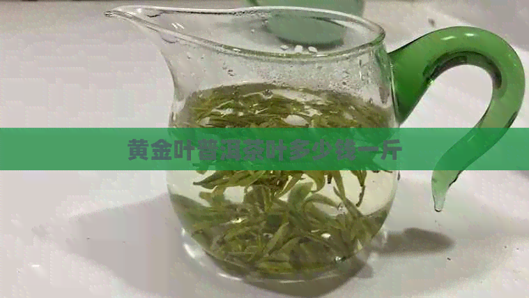 黄金叶普洱茶叶多少钱一斤