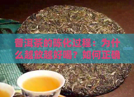 普洱茶的陈化过程：为什么越放越好喝？如何正确保存普洱茶？