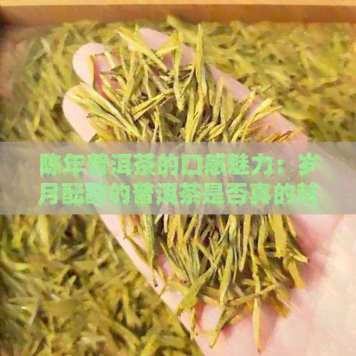 陈年普洱茶的口感魅力：岁月酝酿的普洱茶是否真的越放越好喝？