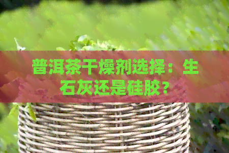 普洱茶干燥剂选择：生石灰还是硅胶？