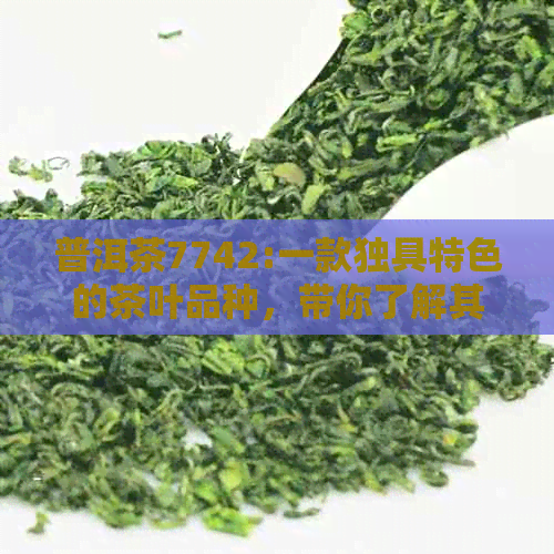 普洱茶7742:一款独具特色的茶叶品种，带你了解其背后的故事和品饮方法