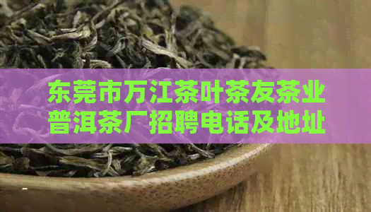 东莞市万江茶叶茶友茶业普洱茶厂招聘电话及地址