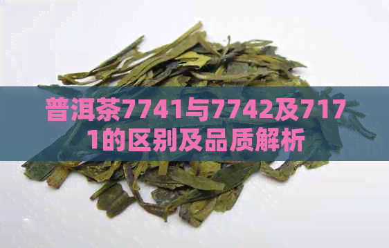 普洱茶7741与7742及7171的区别及品质解析