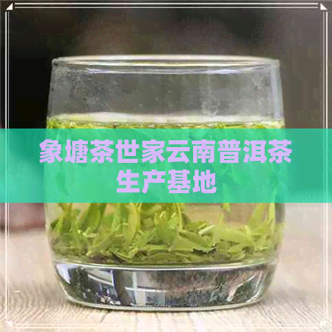 象塘茶世家云南普洱茶生产基地