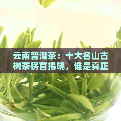 云南普洱茶：十大名山古树茶榜首揭晓，谁是真正的茶中之王？