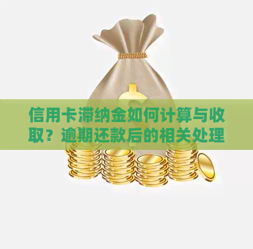 信用卡滞纳金如何计算与收取？逾期还款后的相关处理策略和建议