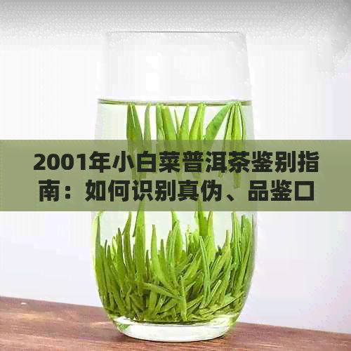 2001年小白菜普洱茶鉴别指南：如何识别真伪、品鉴口感与保存方法全面解析